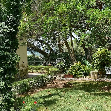 Quinta Da Fonte Seca - Casa Na Serra Da Arrabida * 奎恩塔杜安乔
