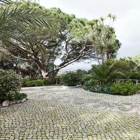 Quinta Da Fonte Seca - Casa Na Serra Da Arrabida 奎恩塔杜安乔