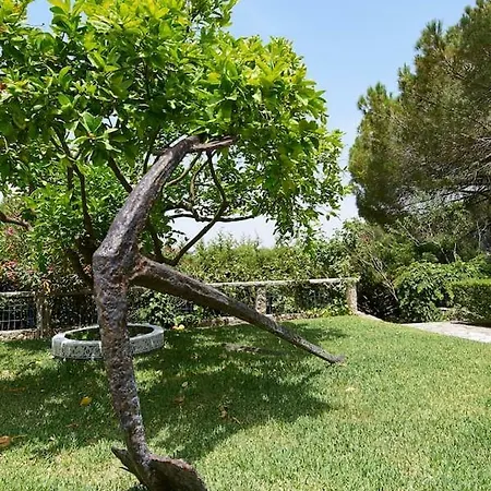 Quinta Da Fonte Seca - Casa Na Serra Da Arrabida *