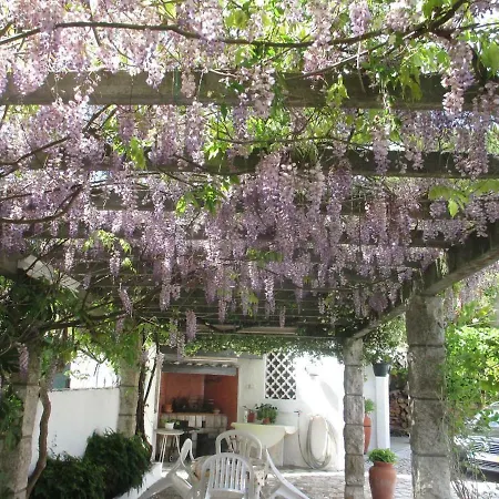 Quinta Da Fonte Seca - Casa Na Serra Da Arrabida 奎恩塔杜安乔